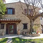 All\'Ombra Di San Damiano