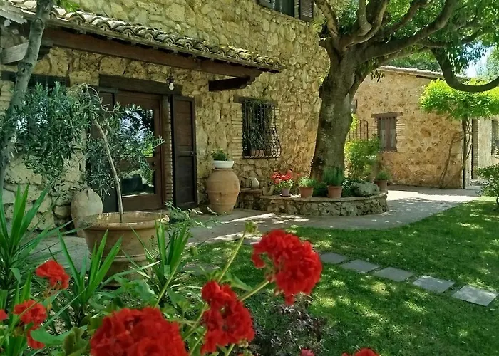 All\'Ombra Di San Damiano