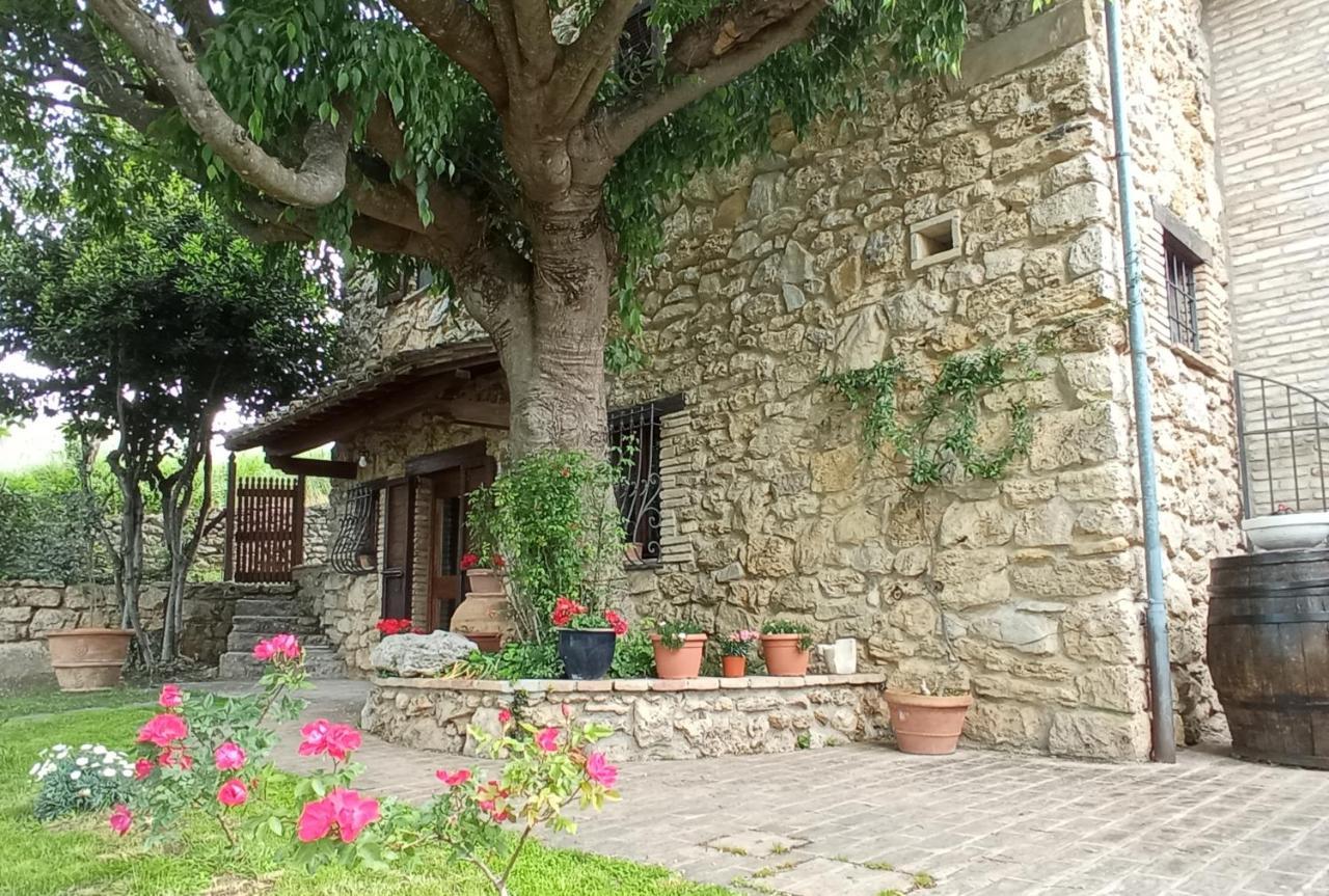 Guest house All'ombra Di San Damiano