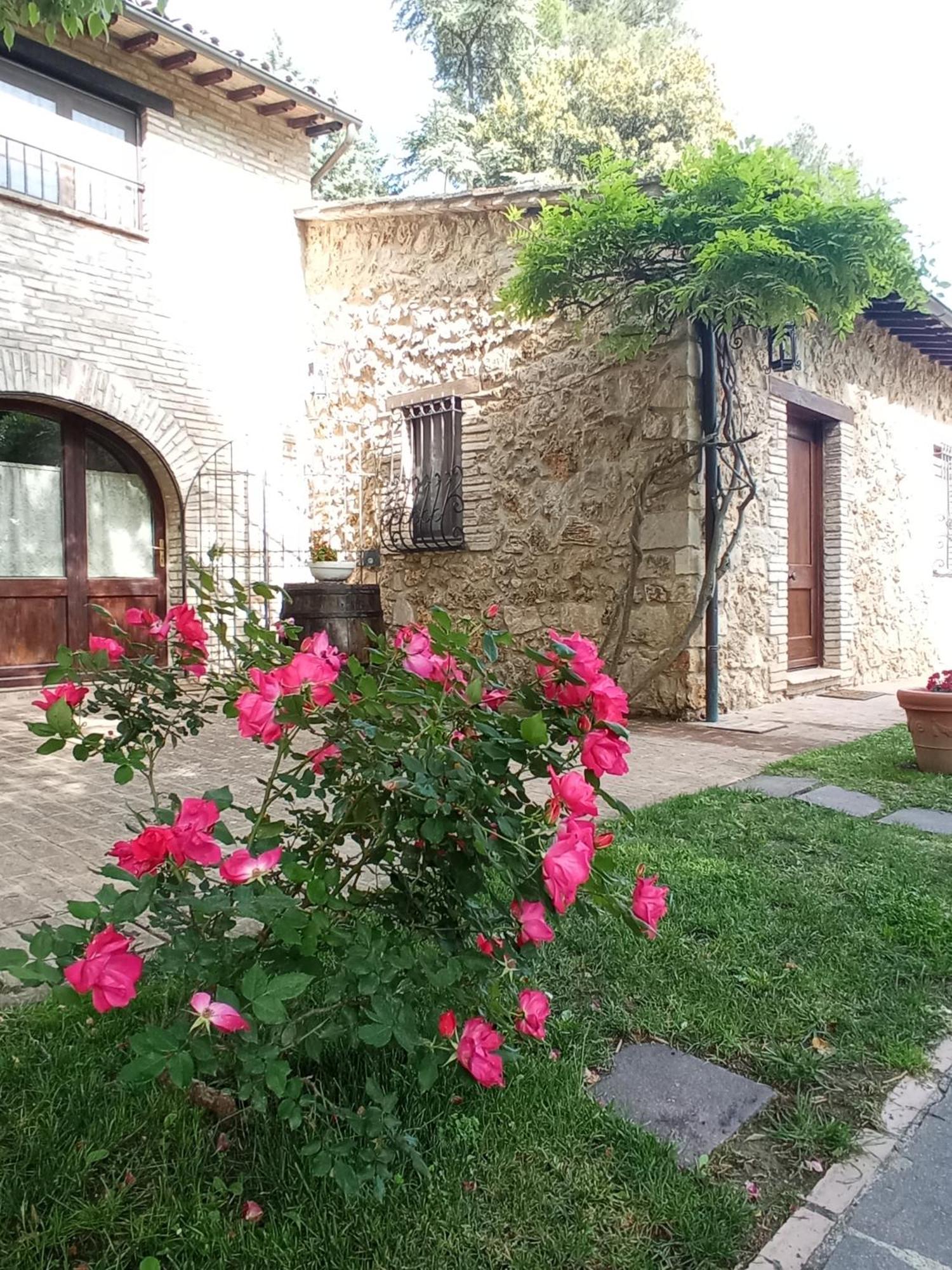 All'ombra Di San Damiano 2* Assisi