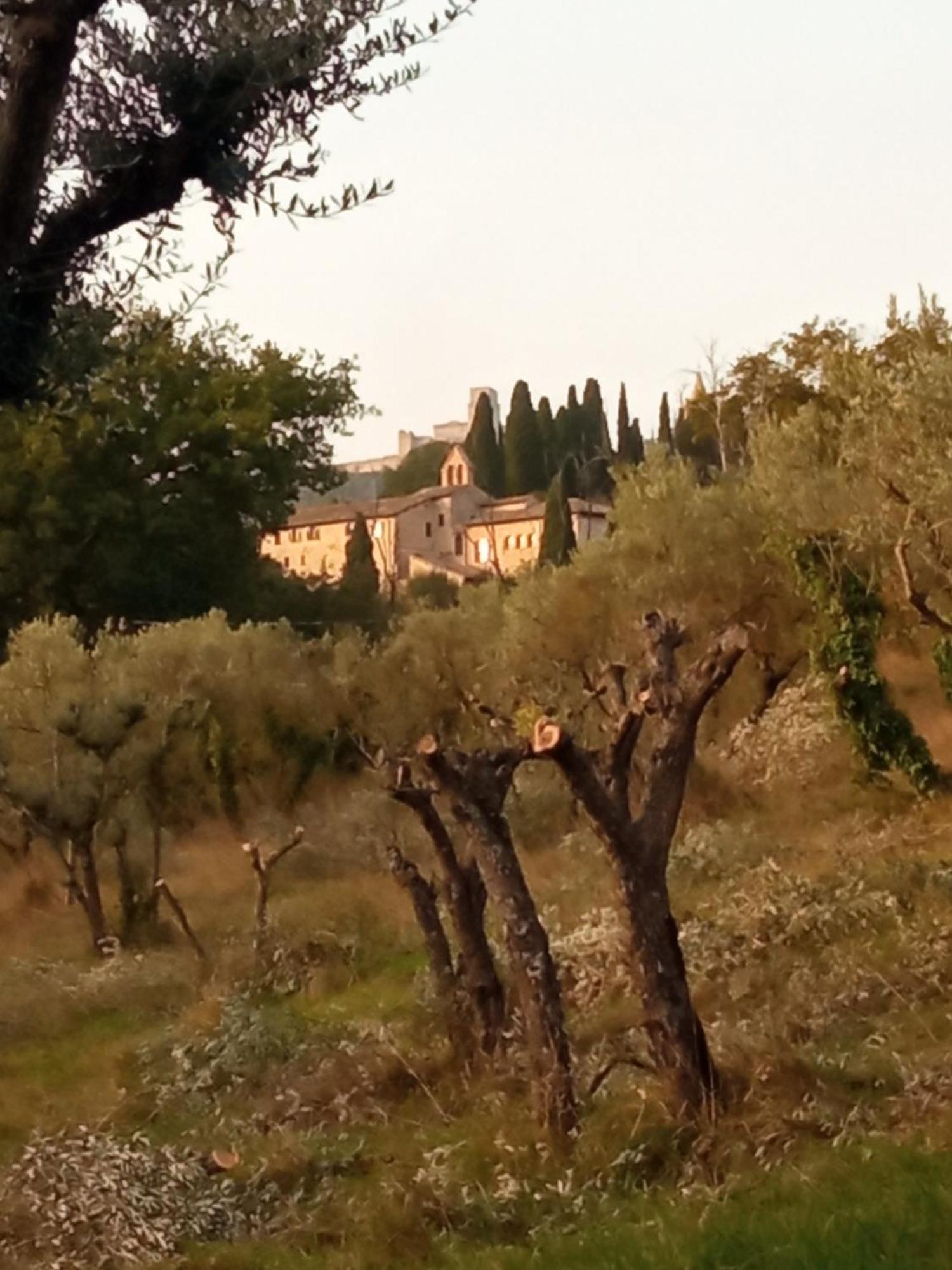 All'ombra Di San Damiano Guest house 2*