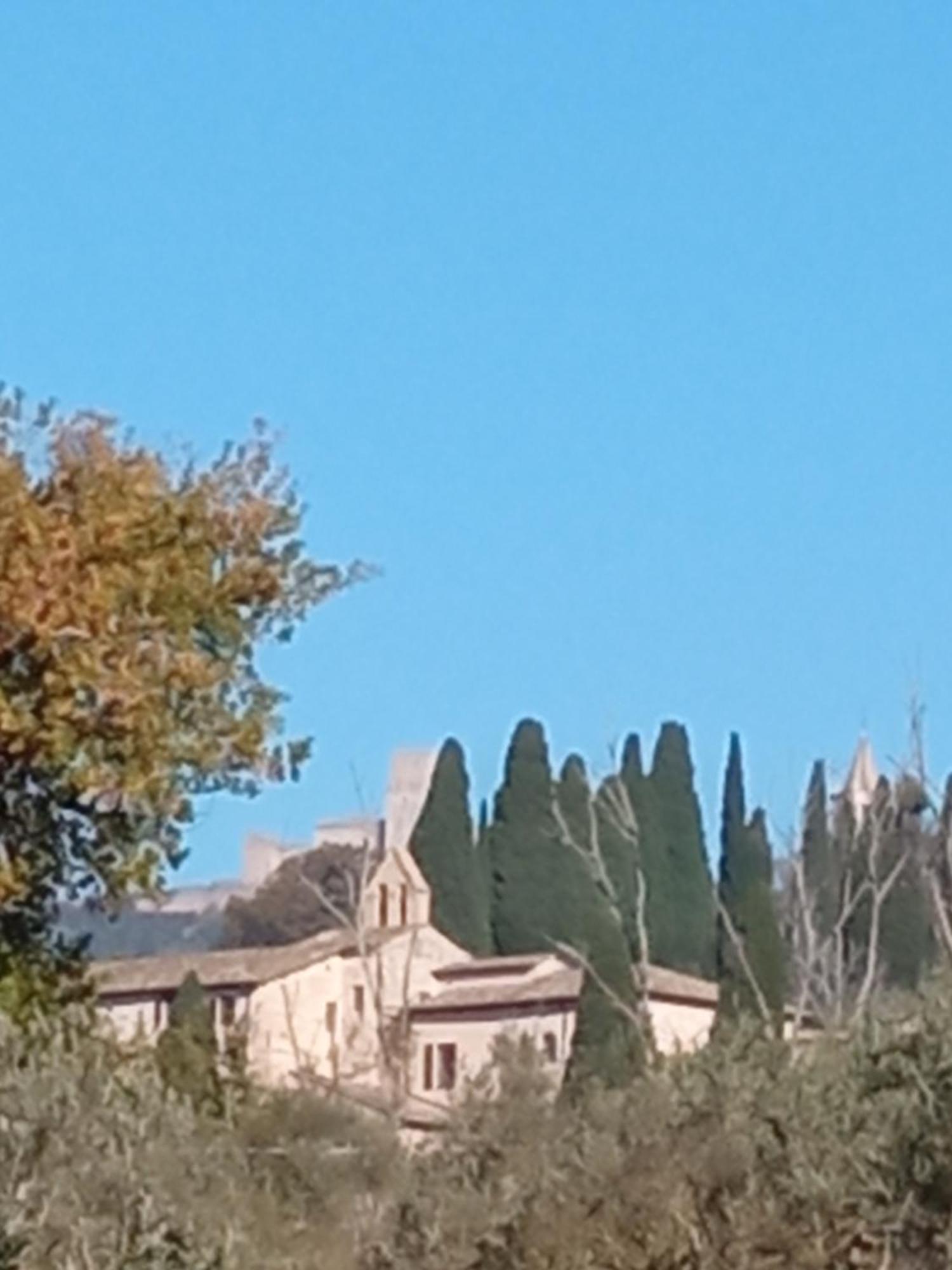 All'ombra Di San Damiano Assisi