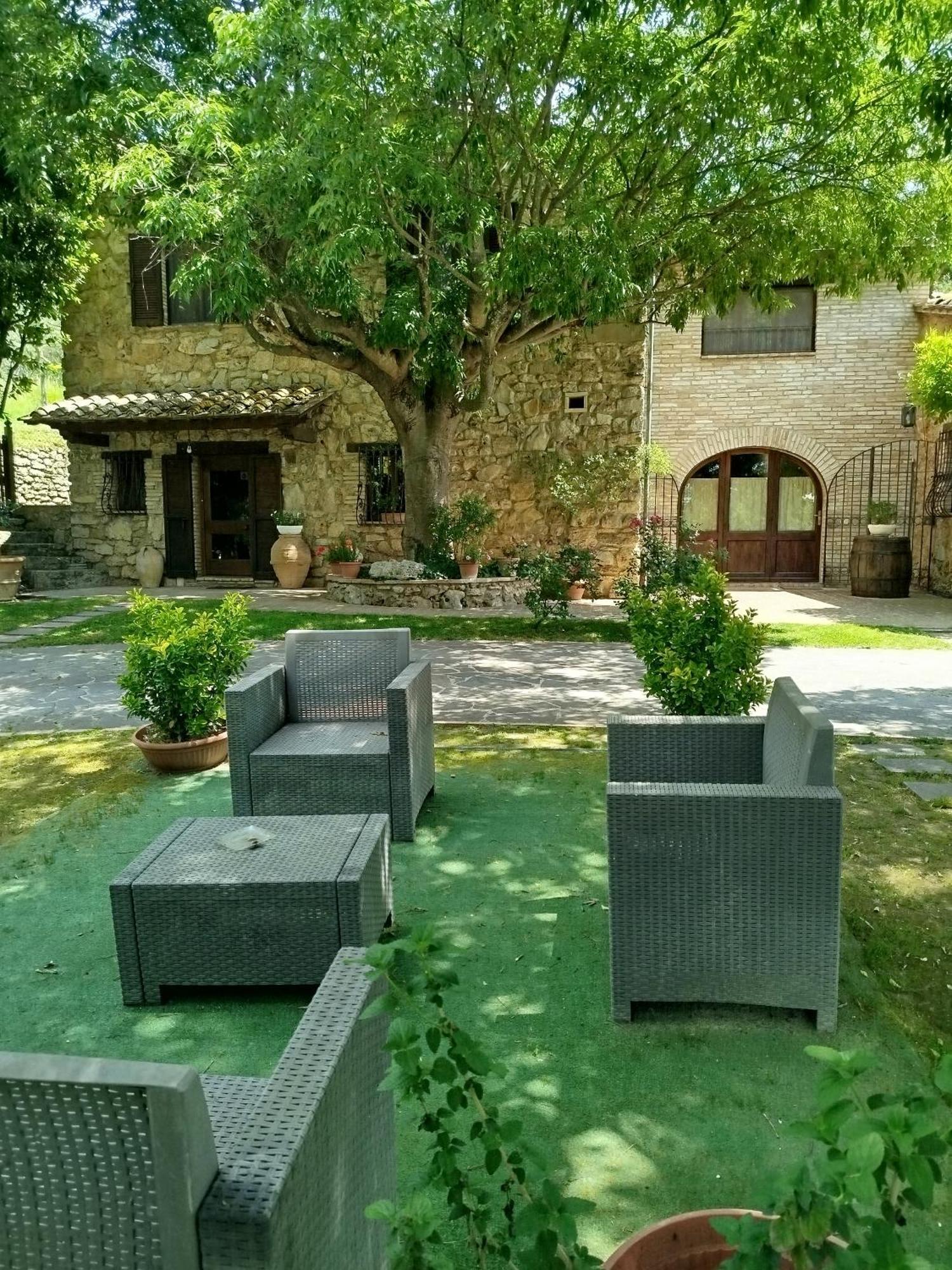 All'ombra Di San Damiano