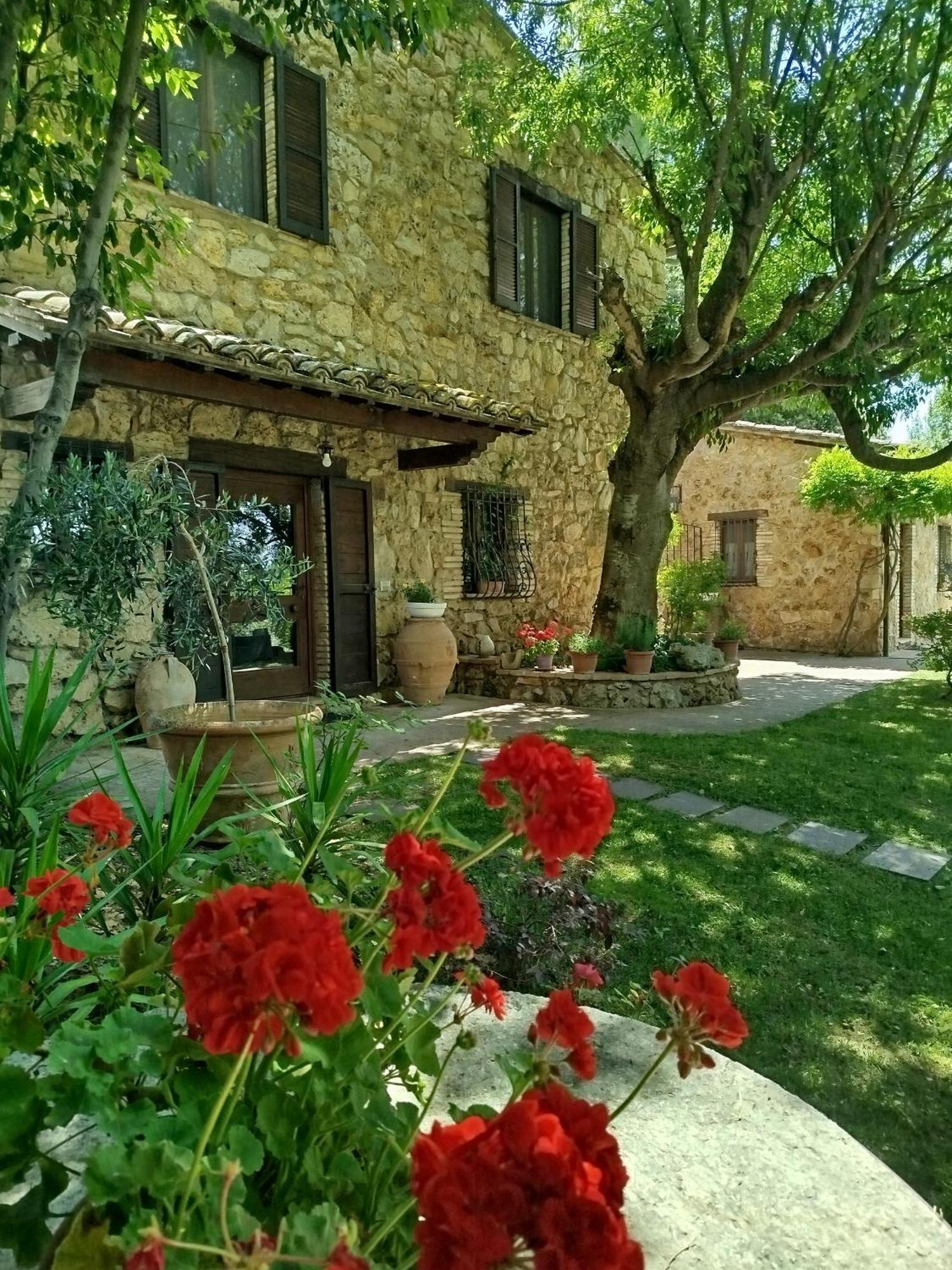 Guest house All'ombra Di San Damiano Assisi